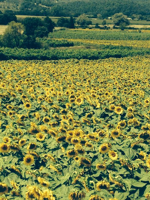 Tre Girasoli Monte San Savino Habitación foto