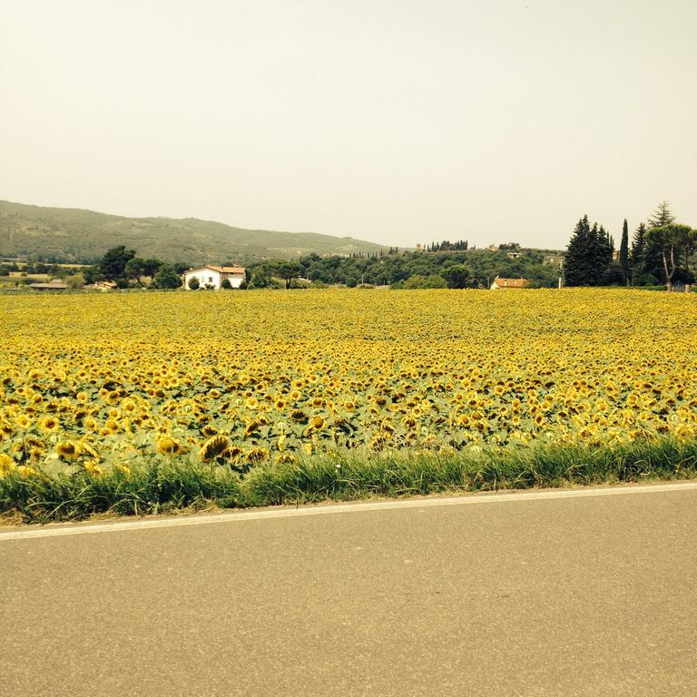 Tre Girasoli Monte San Savino Exterior foto